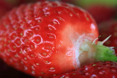 Blutdruck natürlich senken durch Ernährungsumstellung: 7 wirksame Tipps